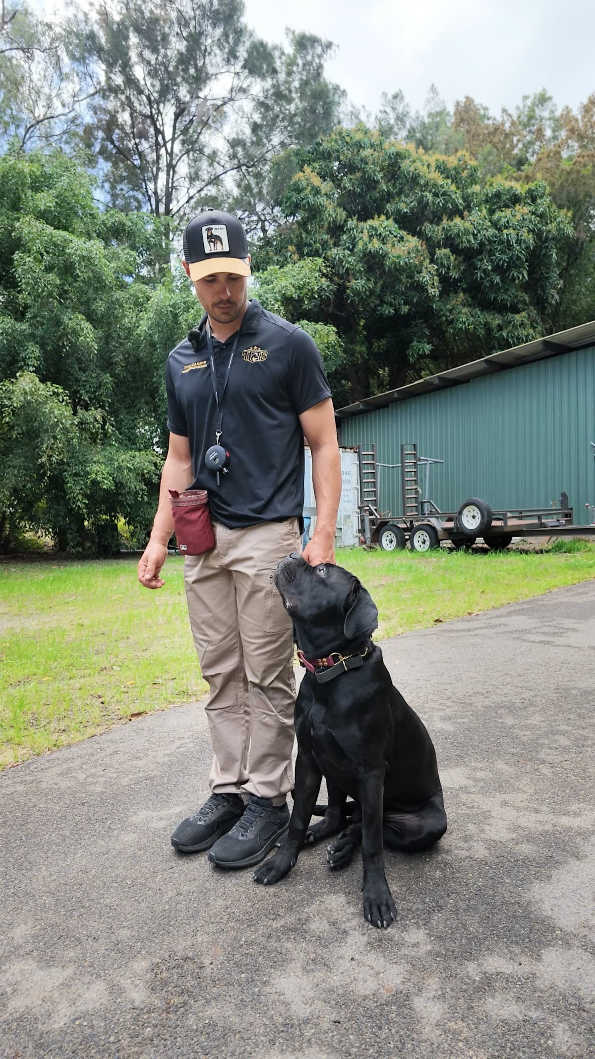 Black Labrador in a heel sit beside Tyler