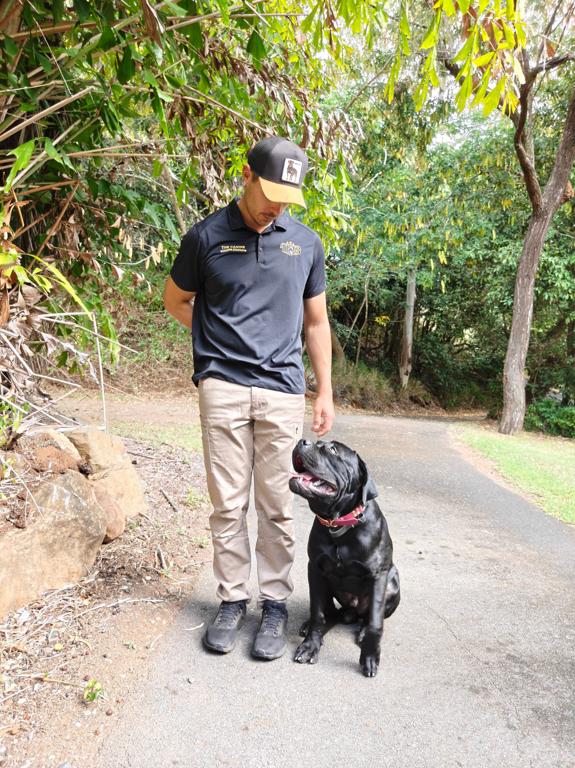 Tyler Ashton with a Cane Corso during a training session